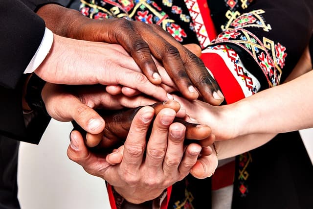 Microcrédit solidaire : Comment choisir la meilleure solution ?