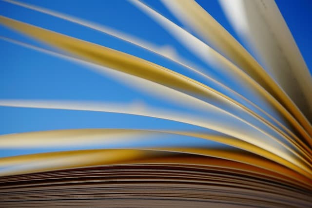 Microcrédit : 5 astuces pour optimiser votre demande